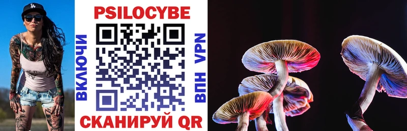 kraken рабочий сайт  Сосногорск  Псилоцибиновые грибы Magic Shrooms 